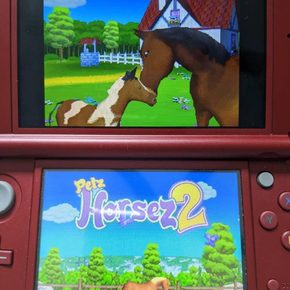 Petz Horsez 2 for Nintendo DS